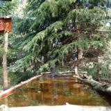 photo 2023-03-31 12-01-51