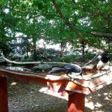 photo 2022-06-05 16-22-48