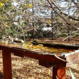 photo 2022-10-23 13-12-50