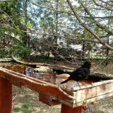 photo 2022-04-06 12-37-15