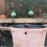 photo 2024-01-22 08-16-36