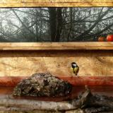 photo 2022-02-06 10-10-54