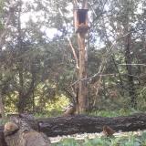 photo 2024-09-30 12-28-11