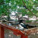 photo 2022-06-01 11-40-06