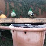 photo 2024-01-08 08-35-13