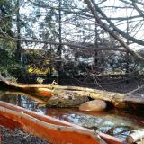 photo 2022-02-20 08-07-53