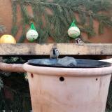 photo 2024-01-10 10-17-39