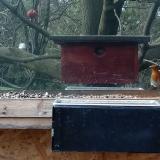 photo 2023-01-11 12-45-01