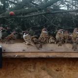 photo 2023-01-30 10-04-14