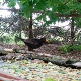 photo 2022-05-09 13-27-57 rigo