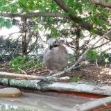 photo 2022-06-20 18-26-02 szajko