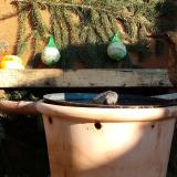 photo 2024-01-11 13-14-33