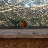 photo 2023-02-06 14-54-28