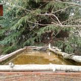 photo 2023-03-20 15-01-38