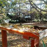 photo 2022-10-20 09-02-58