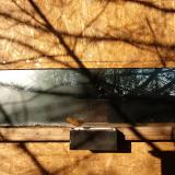 photo 2023-02-01 08-39-16