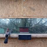 photo 2023-02-19 09-58-14