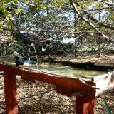 photo 2022-10-17 11-48-32