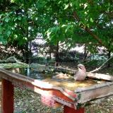 photo 2022-05-12 16-25-46