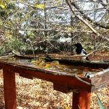 photo 2022-10-23 12-45-18