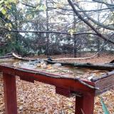 photo 2022-10-23 07-42-42