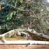 photo 2023-03-13 08-56-54