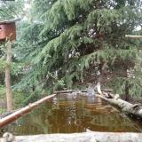 photo 2023-04-01 11-16-31