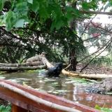 photo 2022-05-17 12-22-20 seregely