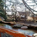 photo 2022-02-24 07-31-35 szajkok