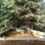 photo 2023-03-13 15-22-38