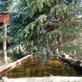 photo 2023-04-02 10-12-50