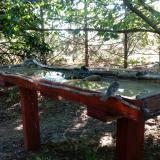 photo 2022-07-12 07-07-49