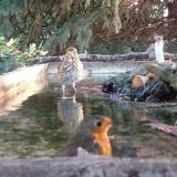 photo 2023-09-10 06-48-38