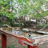 photo 2022-04-20 18-23-52