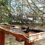 photo 2022-04-06 12-39-27