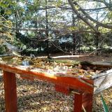 photo 2022-10-20 09-02-43