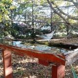 photo 2022-10-17 08-39-17