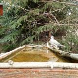 photo 2023-03-20 11-36-10