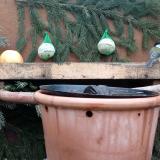 photo 2024-01-07 10-23-10