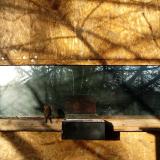 photo 2023-01-17 08-36-47