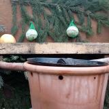 photo 2024-01-07 10-23-16