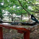 photo 2022-06-09 09-42-48