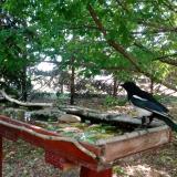 photo 2022-05-23 11-10-43