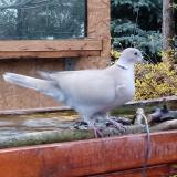 photo 2022-11-23 14-20-35