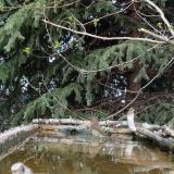 photo 2023-03-22 15-56-23