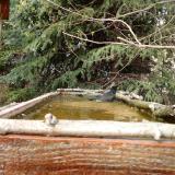 photo 2023-03-22 14-44-11