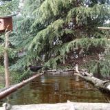 photo 2023-04-01 17-46-49