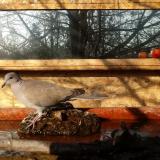 photo 2022-02-11 09-17-49