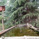 photo 2023-04-10 13-57-05