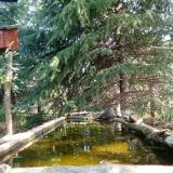 photo 2023-04-11 09-39-21